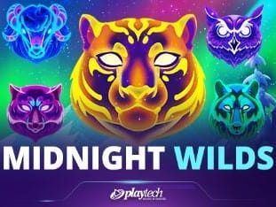 Midnight Wilds icon