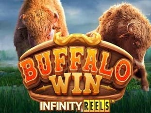 Buffalo Win icon